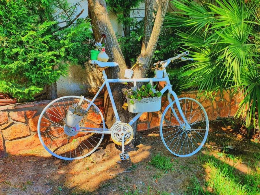 הוילה אקרטה Platanos Estate מראה חיצוני תמונה